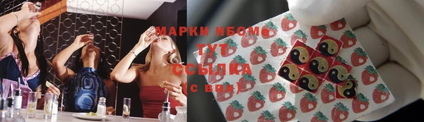 шишки Алзамай