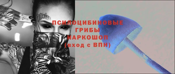 шишки Алзамай